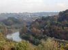 gonfolina